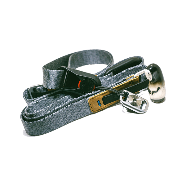 Aenean volutpat rhoncus tortor