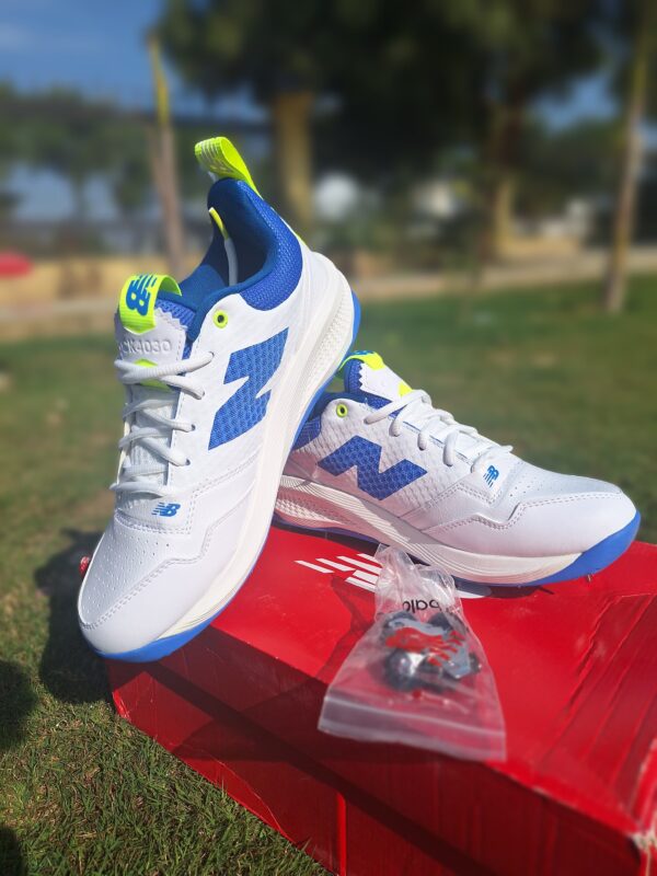 Bata Classic Shoes